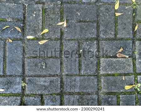 paving blocks after being exposed to rain last night and the leaves falling