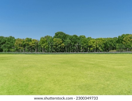 empty grassland and clear sky background in the park Royalty-Free Stock Photo #2300349733