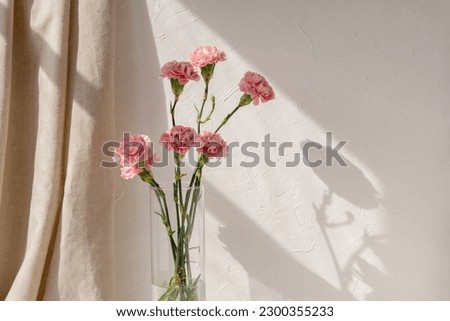 Carnation flowers bouquet in vase on a neutral beige empty wall and linen curtain with aesthetic floral sunlight shadow background, spring or summer home interior decor Royalty-Free Stock Photo #2300355233