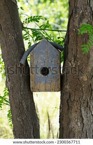            Wooden bird house between tree's in park                    