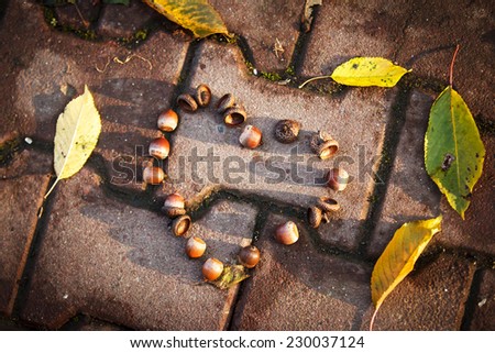 Acorns in shape of heart, surrounded by yellow leaves. Concept photo about love in autumn