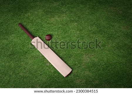 Cricket bat and ball on grass pitch