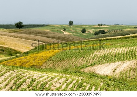 Unproductive farming in rugged fields  Royalty-Free Stock Photo #2300399499