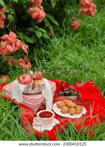 Summertime picnic setting on the grass with open picnic basket, fruit, croissants, books