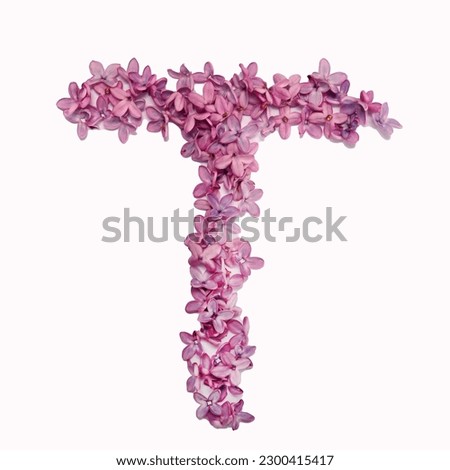 The letter T made of lilac flowers.  Square photo with white background.