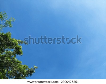 Beautiful morning, Clear sky picture