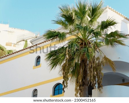 Abstract architectural background with rounded corner of white house and palm tree under blue sky.