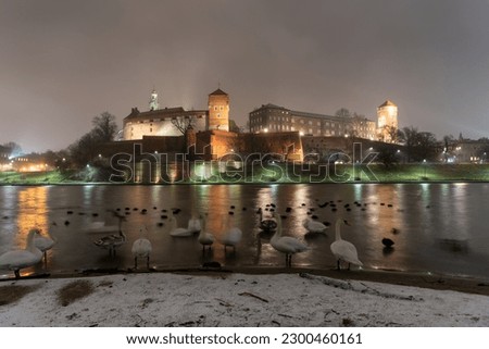 Wawel Royal Castle in Krakow at night