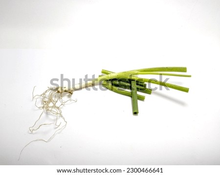 Stock Photo of leek vegetable isolated white background