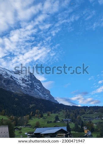 Peaceful Swiss View from Grindelwald