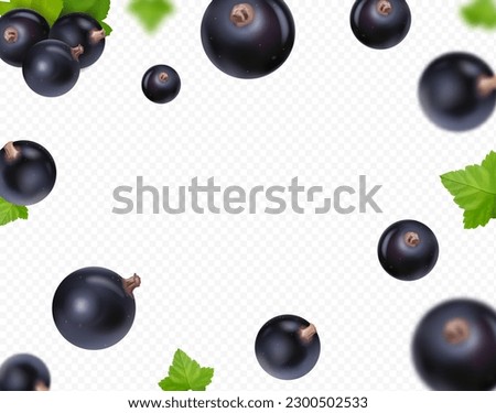 Black currant falling. Flying currant with green leaf on transparent background. Blackcurrant blurred 3D realistic vector. Royalty-Free Stock Photo #2300502533