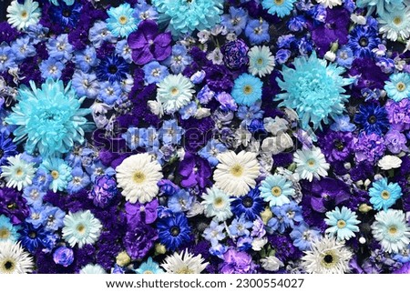 Filled with flowers of many varieties and diverse sizes, mainly purple and blue.