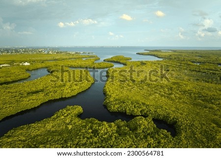 Overhead view of Everglades swamp with green vegetation between water inlets. Natural habitat of many tropical species in Florida wetlands Royalty-Free Stock Photo #2300564781