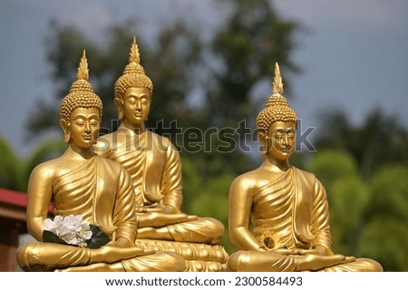 group of golden Buddha images in the midst of outdoor nature
