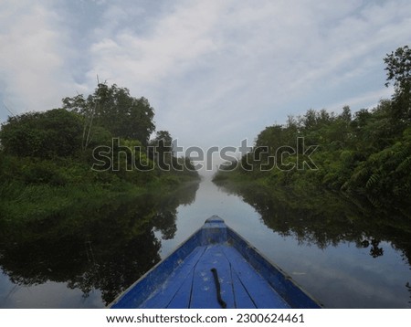 One of the canals in the peat area of ​​Pulang Pisau Regency, Central Kalimantan, which was in ruins decades after the PLG project destroyed the peat ecosystem in Central Kalimantan, Indonesia. Royalty-Free Stock Photo #2300624461