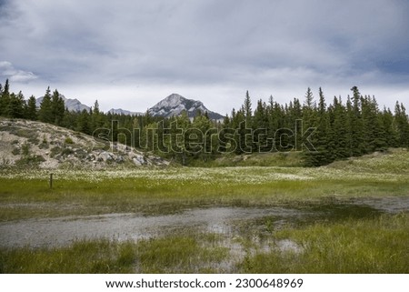 Landscape in the Rocky Mountains. amazing nature view - sharp stone mountain peaks, coniferous forest. Travel and tourism concept image, selective focus.