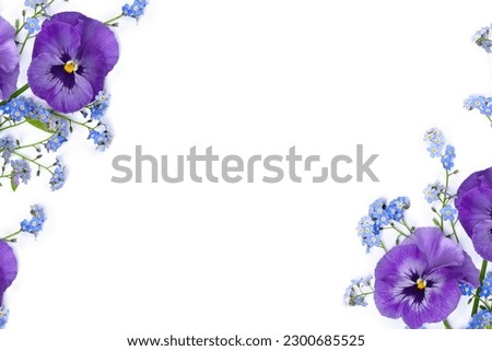 Flowers viola tricolor ( pansy ) and blue wildflowers forget-me-nots on a white background with space for text. Top view, flat lay