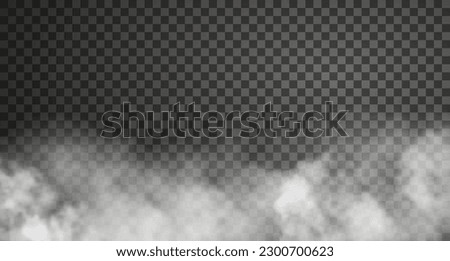Cloudy fog isolated on transparent background. Realistic vector illustration. White haze or smoke effect 