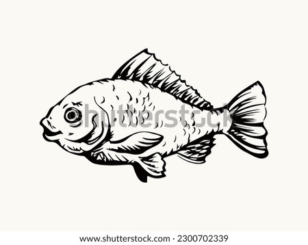 Closeup view big cute small gold red zoo tank bowl pet life white paper text space. Outline black ink pen hand drawn big gill fin meal bass cod ruff diet fishtank logo pictogram retro art doodle style