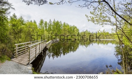 A multi image panorama of the shores of High Dam Tarn in the Lake District pictured in front of lush green trees in late spring.