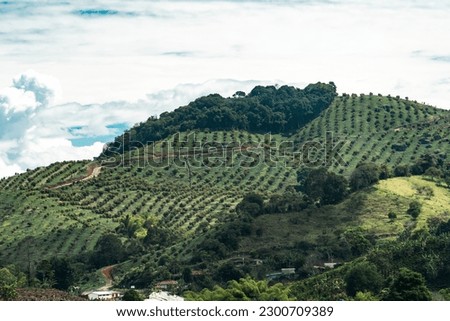 Mountain with avocado plantation and rural landscape. Jerico, Antioquia, Colombia.  Royalty-Free Stock Photo #2300709389