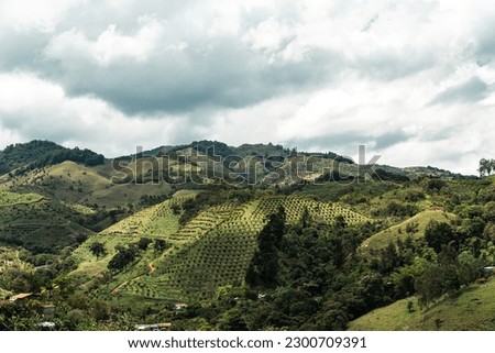 Mountain with avocado plantation and rural landscape. Jerico, Antioquia, Colombia.  Royalty-Free Stock Photo #2300709391