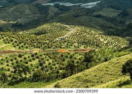 Mountain with avocado plantation and rural landscape. Jerico, Antioquia, Colombia.  Royalty-Free Stock Photo #2300709399