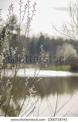Young branches of a tree near the water.  in the spring during the flood. vintage effect