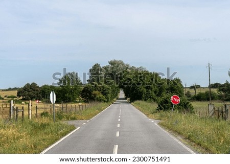 Road in the middle of Alentejo surrounded by cornfields on a summer day full of scorching sun. Royalty-Free Stock Photo #2300751491