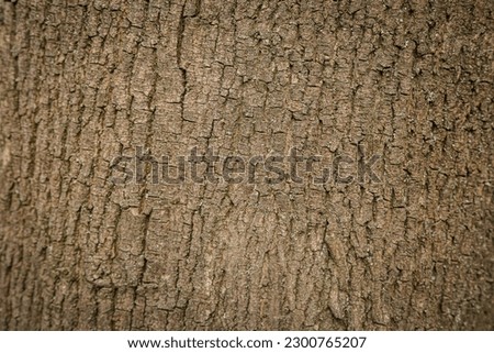 Embossed texture of brown tree bark. Horizontal photo of a tree bark texture. Embossed creative texture of old oak bark.