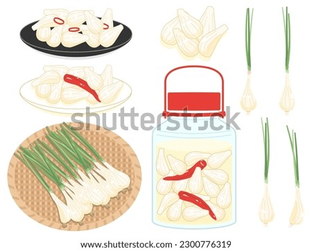 A set of illustrations of green shallots and sweet and sour pickles. Royalty-Free Stock Photo #2300776319