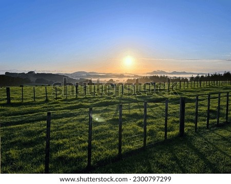 Rural beauty of Bay of Islands, NZ. Lush green landscape with fences and sheep. Golden morning light creates a peaceful atmosphere, showcasing simple life  agriculture in the rustic rural farm land. Royalty-Free Stock Photo #2300797299