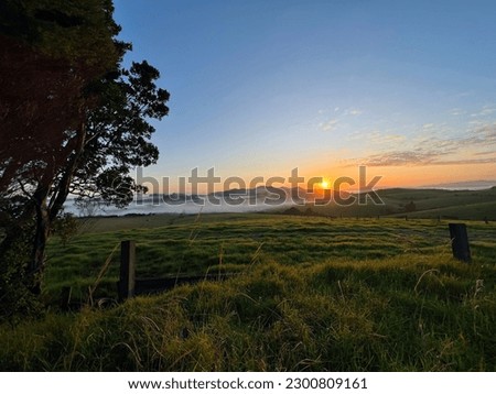 A serene rural scene in Bay of Islands, NZ. Lush green landscape with low fog. Rustic charm and simple agricultural life showcased in golden morning light. Royalty-Free Stock Photo #2300809161