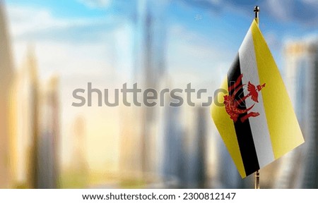 Small flags of the Brunei on an abstract blurry background.