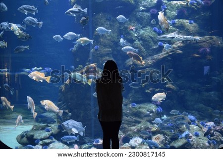 Person Silhouette with Ocean Aquarium