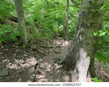 Nature photography, trail photography, outdoors
