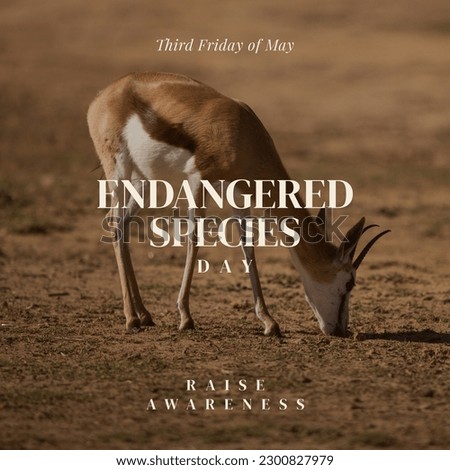 Composition of endangered species day text and deer grazing. Endangered species day, wildlife, nature and wild animals concept digitally generated image.