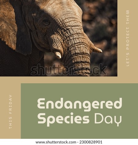 Composition of endangered species day text and elephant on green background. Endangered species day, wildlife, nature and wild animals concept digitally generated image. Royalty-Free Stock Photo #2300828901