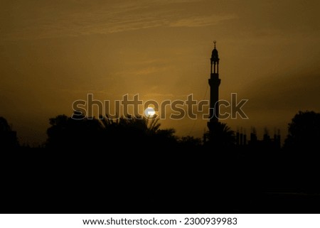 Sunset in Egypt, behind palm trees and a minaret
