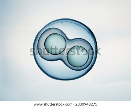 Cells division process, Cell divides into two cells Royalty-Free Stock Photo #2300948275