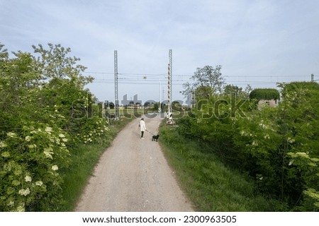 aerial drone shot of a woman and dog walking in the countryside, near railroad in between rural fields and vegetation