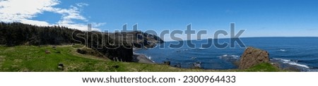 A panoramic view of sea waves crashing against cliffs on the beach in Gros Morne National Park in Newfoundland, Canada Royalty-Free Stock Photo #2300964433