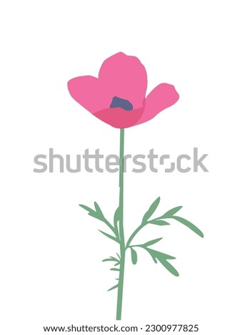 Pink poppy flowers on a white background, vector illustration design. 
