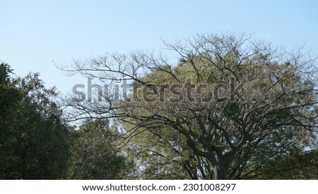 Images of nature, of the countryside in spring in Sardinia
