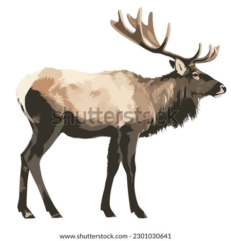 realistic deer, elk  vector on white Royalty-Free Stock Photo #2301030641