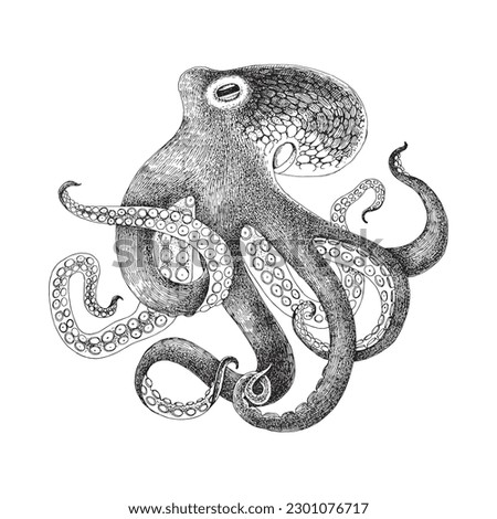 Octopus hand drawn monochrome vector illustrations