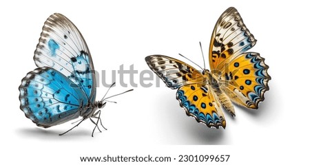 Two beautiful Butterflies isolated on a white background Royalty-Free Stock Photo #2301099657