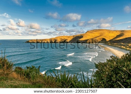 picturesque bay with offshore peninsula under low sun, near Otago, New Zealand Royalty-Free Stock Photo #2301127507