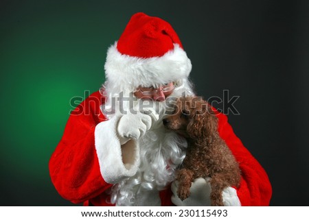 Santa Claus dressed in his Trademark Red Velvet Suit, holds a Small Brown Poodle Dog giving it love and treats for Christmas. Santa Claus loves all animals and especially small dogs. Merry Christmas