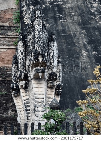 This is picture from temple in Chiangmai, Thailand. Phaya Nak or Phaya Nāga  in Thai beliefs, nagas are considered the patrons of water. Nagas are believed to live in either water bodies or in caves.
